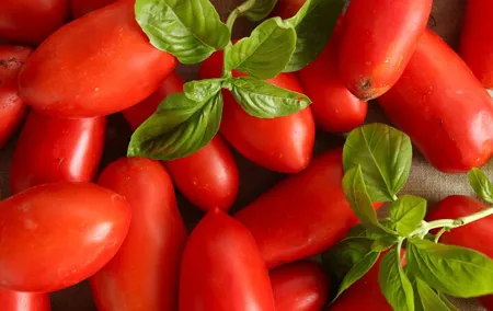 Tuscan World Famous Cuisine Activity with a Local Food Expert