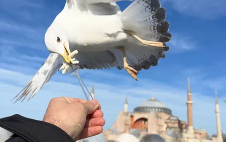ISTANBUL BEST: Iconic Landmarks FullDay Private Guided City Tour
