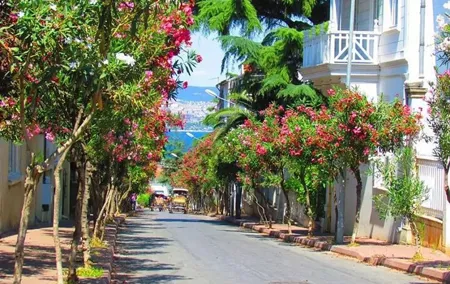 Istanbul Princess Island Tour Include Lunch and Island Car Trip