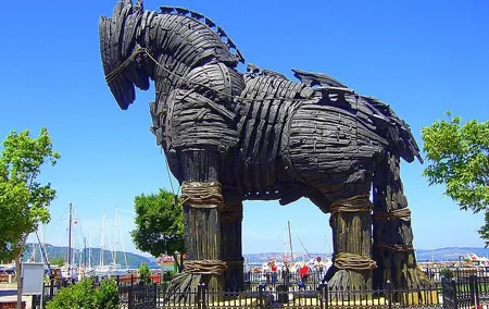 Istanbul to Truva Troy Guided Day Tour with Lunch and Transfers
