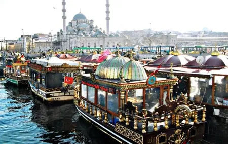 Istanbul Private Tour Designed for Layover Flight, Transfer incl.