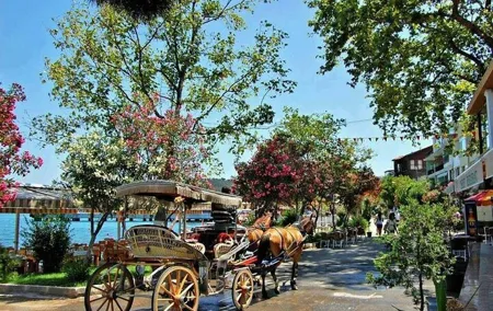 Istanbul Princes Island Tour with Lunch & Hotel Transfer