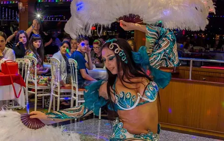 Bosphorus Sightseeing Cruise with Turkish Live Show and Dinner