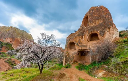 3 Days Cappadocia Tour with Camel Ride & Balloon Ride Options