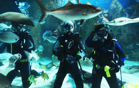 Istanbul Aquarium and Shopping Tour with Hotel Transfers