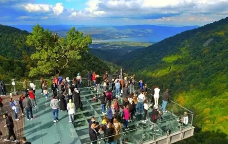 Full Day Sapanca Tour with Lunch and Transfer From Istanbul