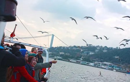 Morning Bosphorus Tour 3 Hours
