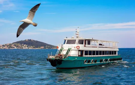Istanbul Bosphorus Sightseeing Cruise with Audio Guide