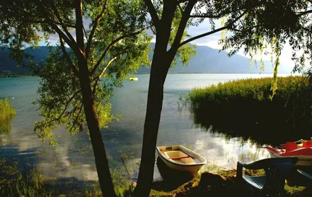 Sapanca Lake & Masukiye Tour From Istanbul