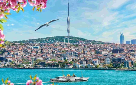 Istanbul Camlica Tower: Private Entry, Transfer & Dine Choices