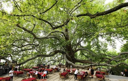 Bursa and Uludağ Tour from İstanbul with Cable Car and Lunch
