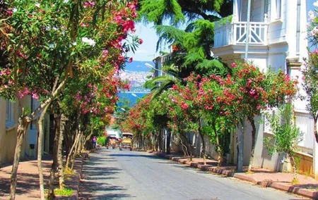Buyukada Princes’ Island Guided Day Tour with lunch from Istanbul