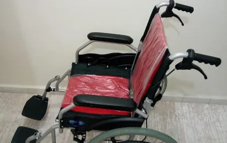 Manual Wheelchair Rental (Per Day)