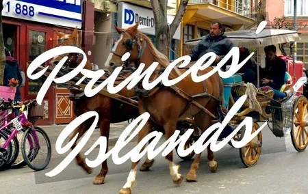 Princess Island Tour with Lunch & Ferry Ride