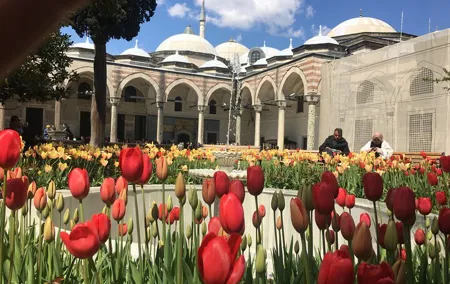 Private Istanbul Old City Walking Tour