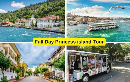 Princes' Islands Tour from Istanbul Lunch Included
