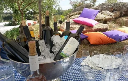 Full-Day Wine Tour from Istanbul