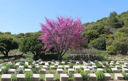 2-Day Gallipoli and Troy Tour from Istanbul and return