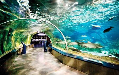 Istanbul Aquarium and Aqua Florya Independent Shopping Trip