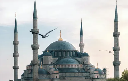Istanbul City Tour w/ Blue Mosque, Hagia Sophia & Topkapi Palace