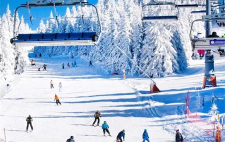 Bursa Uludag Full Day Tour from with Lunch and Cable Car