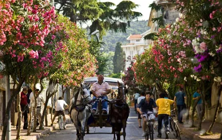 Princes Islands Tour from istanbul