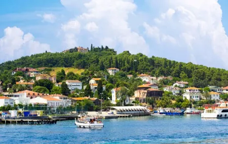Istanbul Princes Island Tour with Lunch and Transfer