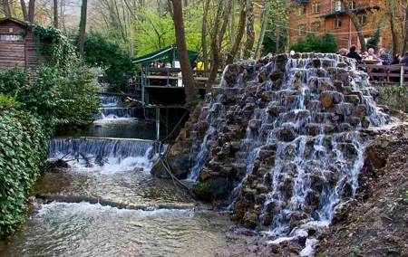 Daily Sapanca Lake & Masukiye Tour - Group Tour Basis
