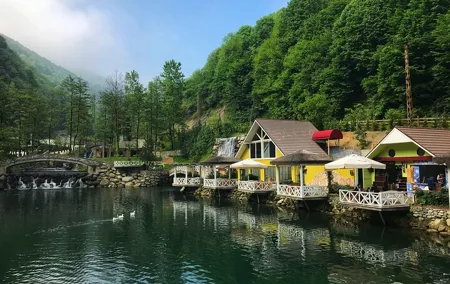 Full-Day Sapanca and Maşukiye Tour with Lunch from Istanbul