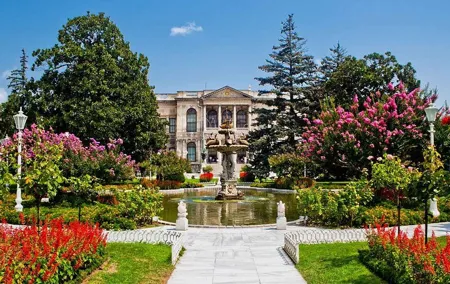 True Discovery: Full Day Tour and Cruise of Istanbul