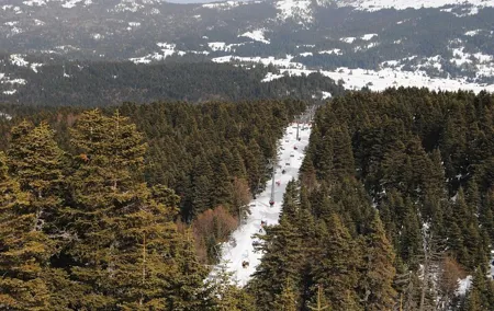 Green Bursa ~ Uludag Mountain, Guided Tour;Groups