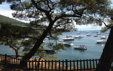 Natural Princes' Islands Tour - Small Group
