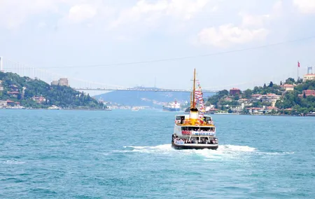 8 Day Private Tour of Turkey Istanbul, Troy, Ephesus, Pamukkale