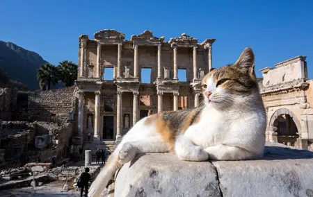 Private Daily Ephesus Tour From Istanbul With Flights