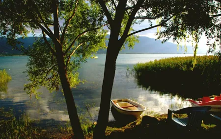 Private Green Sapanca Day Tour From Istanbul