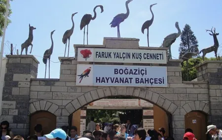 Sapanca Masukiye Tour