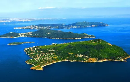 Full Day Big Island Tour in Istanbul with Lunch