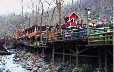 Sapanca Masukiye Zoo private Tour From istanbul VIP Minivan Best Quality