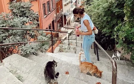 Off Beaten Path of Istanbul: Beşiktaş-Ortaköy-Arnavutköy Private Guided Tour