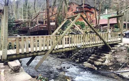Private Day Trip From Istanbul to Lake Sapanca and Maşukiye Village