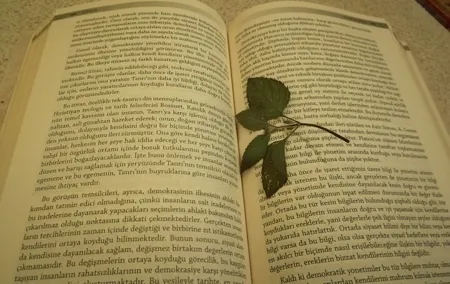 Istanbul Literature Tour