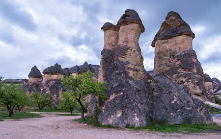 5 Day Cappadocia Pamukkale Ephesus Gallipoli and Troy Tour