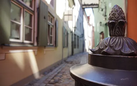 Bike Tour in Riga with Professional Guide