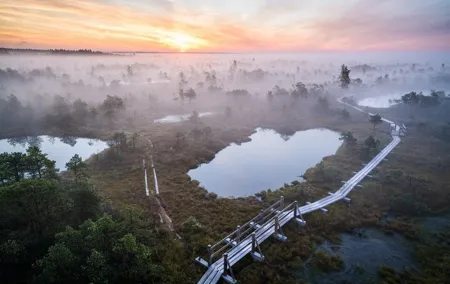 Jurmala and Kemeri National Park Tour with pick-up