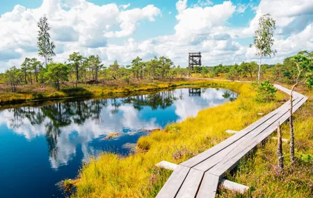 From Riga: Kemeri Bog Boardwalk and Jurmala Seaside