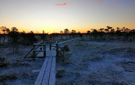 Sunrise at Kemeri National park + Jurmala