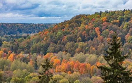 Latvia's Switzerland and Gauja National Park Tour