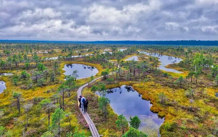 From Riga: Best of Kemeri National Park In One Day