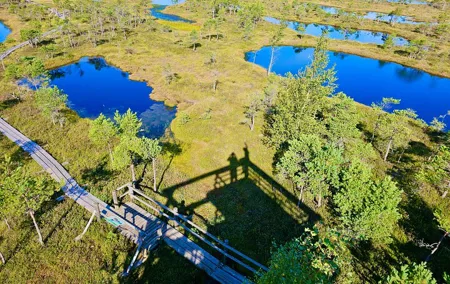 Ķemeri Great Bog Discovery With Optional Sunrise & Jūrmala Visit