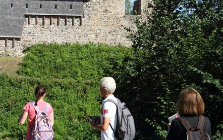 Day trip to Gauja National Park: animals, castles and a cave
